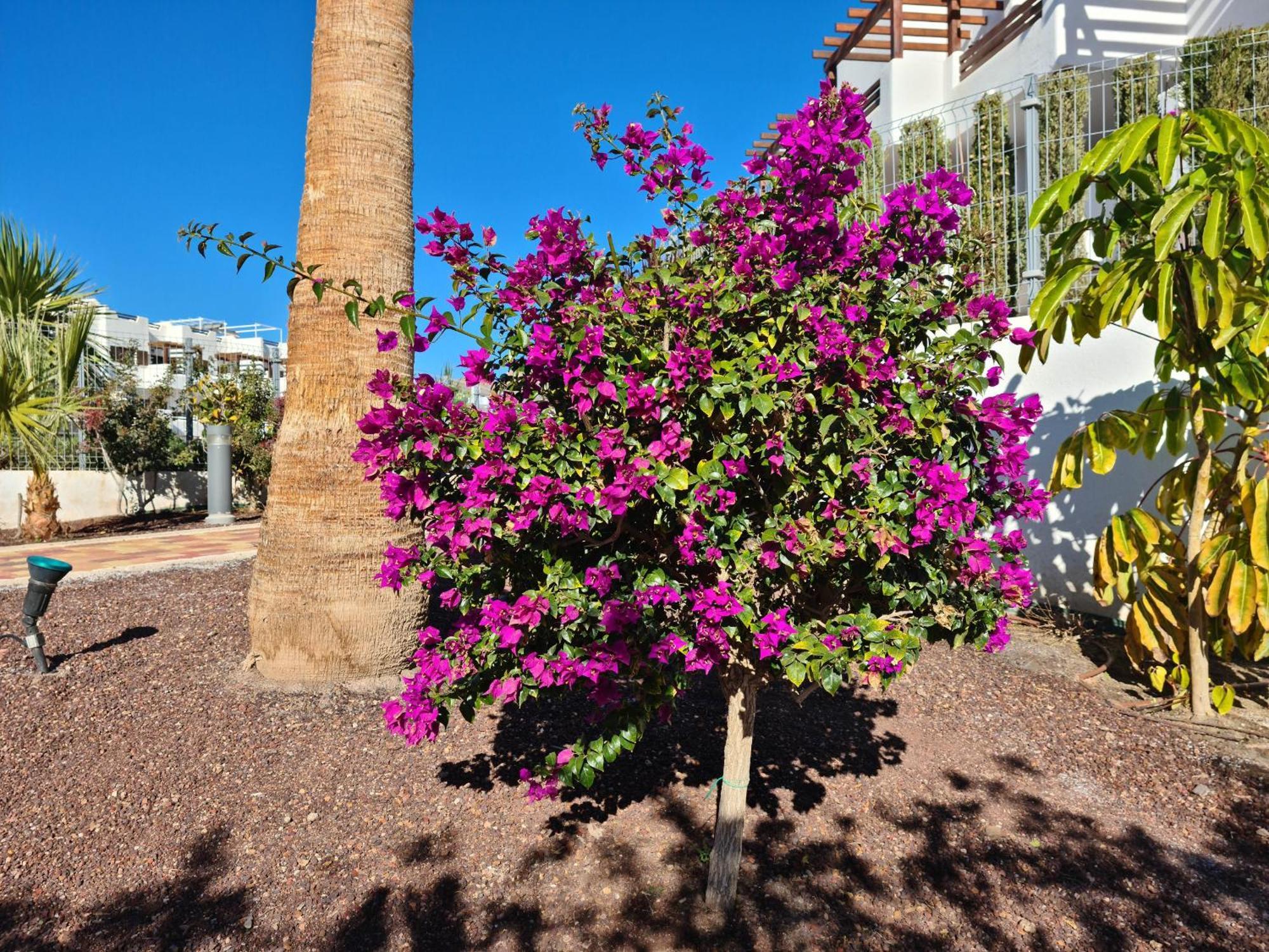 El Sueno Apartman San Juan de los Terreros Kültér fotó