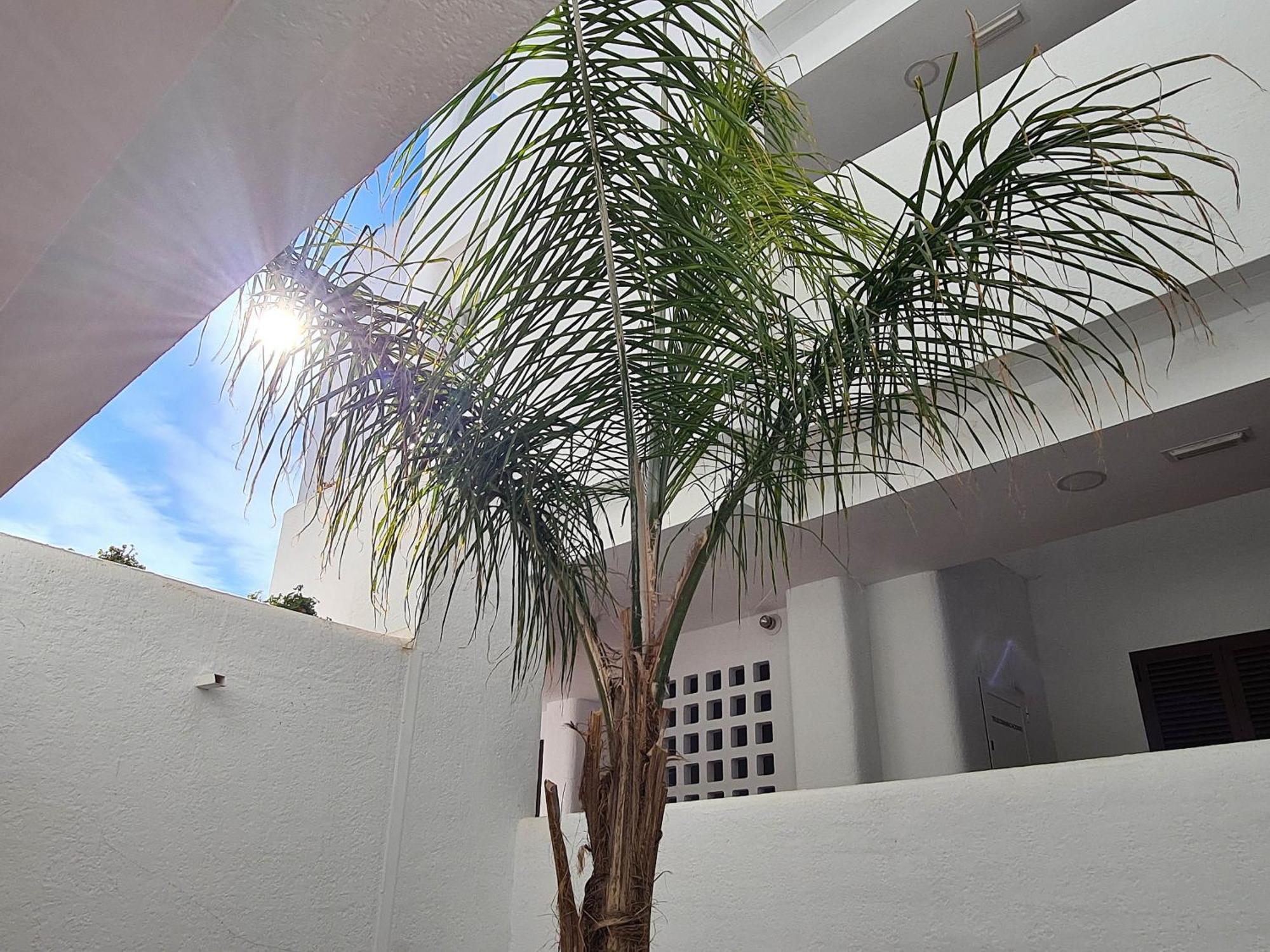 El Sueno Apartman San Juan de los Terreros Kültér fotó